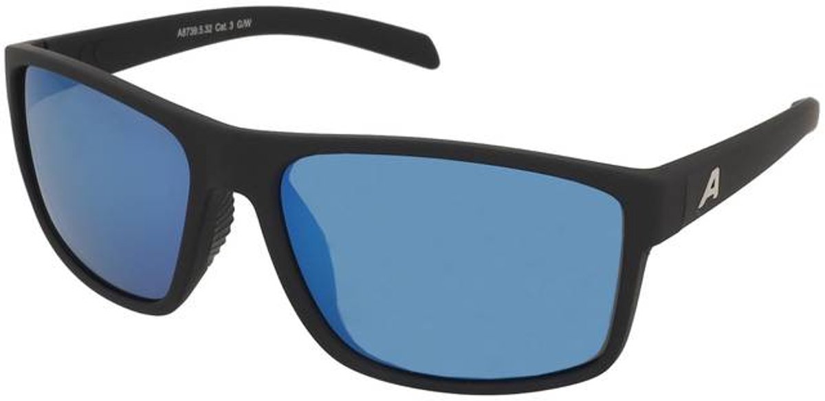Zonnebrillen Alpina Nacan I P Black Matt/Blue Mirror