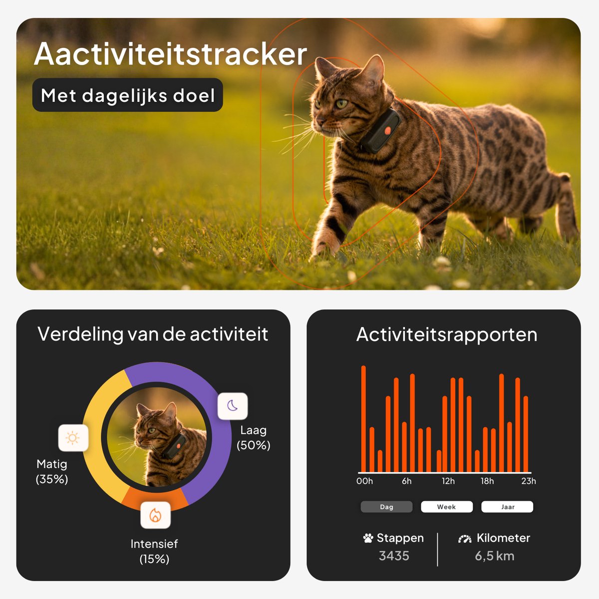 Weenect Cat XS Black edition - NIEUWE GPS-kattenhalsband | Real-time GPS-minitracker voor katten | Kleinste op de markt | Abonnement | Halsband inbegrepen | Levenslange garantie thumbnail 5