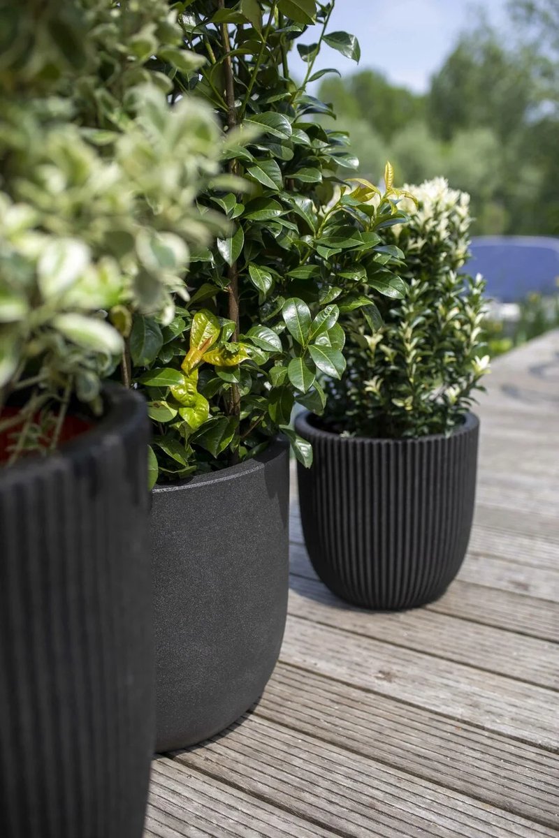 Capi Europe Pot coupe Groove NL - 54x52 - Noir
