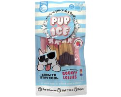 Pup Ice hondenijsjes Rocket Lollies (raketjes) | Aardbei Bosbes | Traktatie | Invriezen