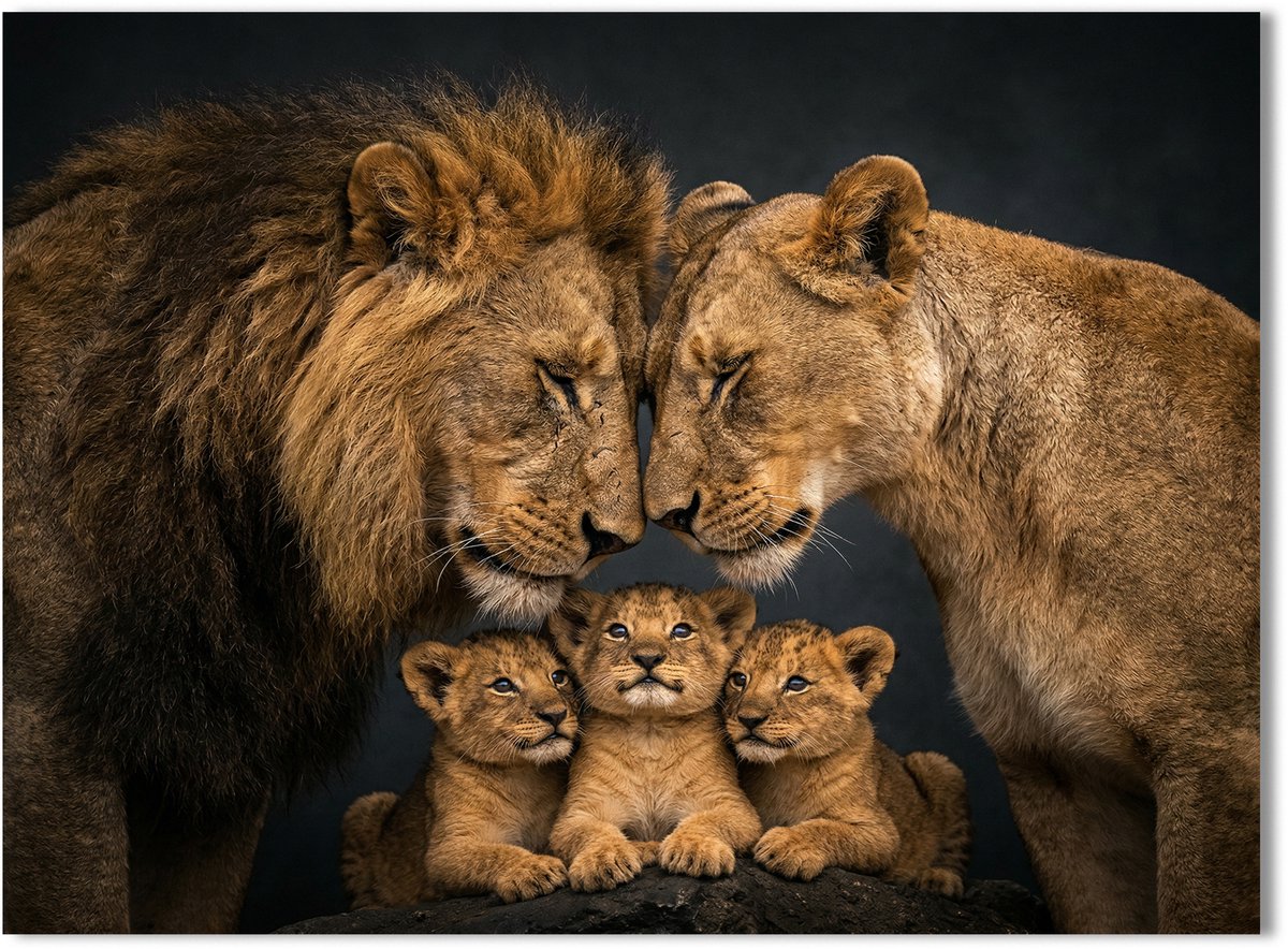 Modern Schilderij Woonkamer - Canvas Kunstwerk - 100 x 75 cm - Leeuwen Familie No3 - PosterGuru