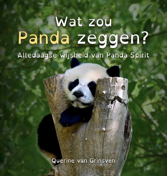 Wat Zou ... Zeggen?- Wat zou Panda zeggen? - cover