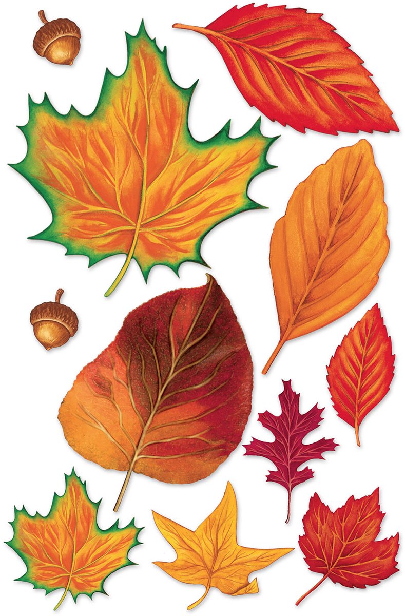 360 DEGREES - Assortiment van 11 herfstbladeren van karton