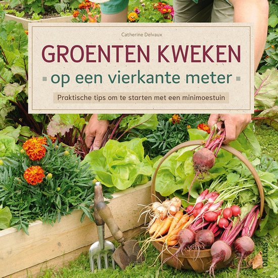 Groenten kweken op een vierkante meter - cover