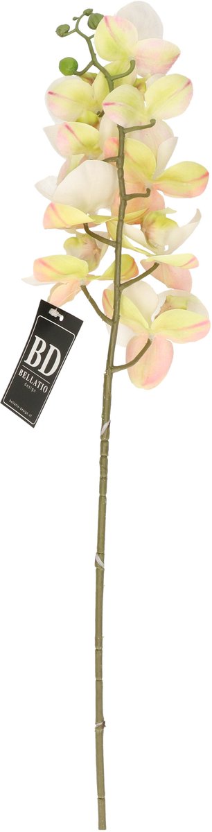 Bellatio Design Kunstbloem Orchidee Bora - wit - 77 cm - losse steel - kunst zijdebloem