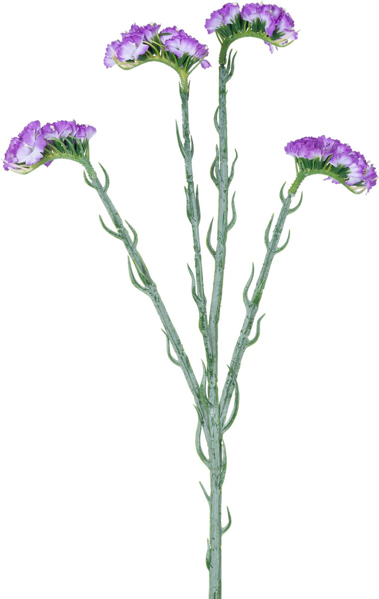 Easyplants | Kunsttak Statice 64 cm paars | Zijde | Nepbloemen | paars | Onderhoudsvrij | Kant-en-klaar