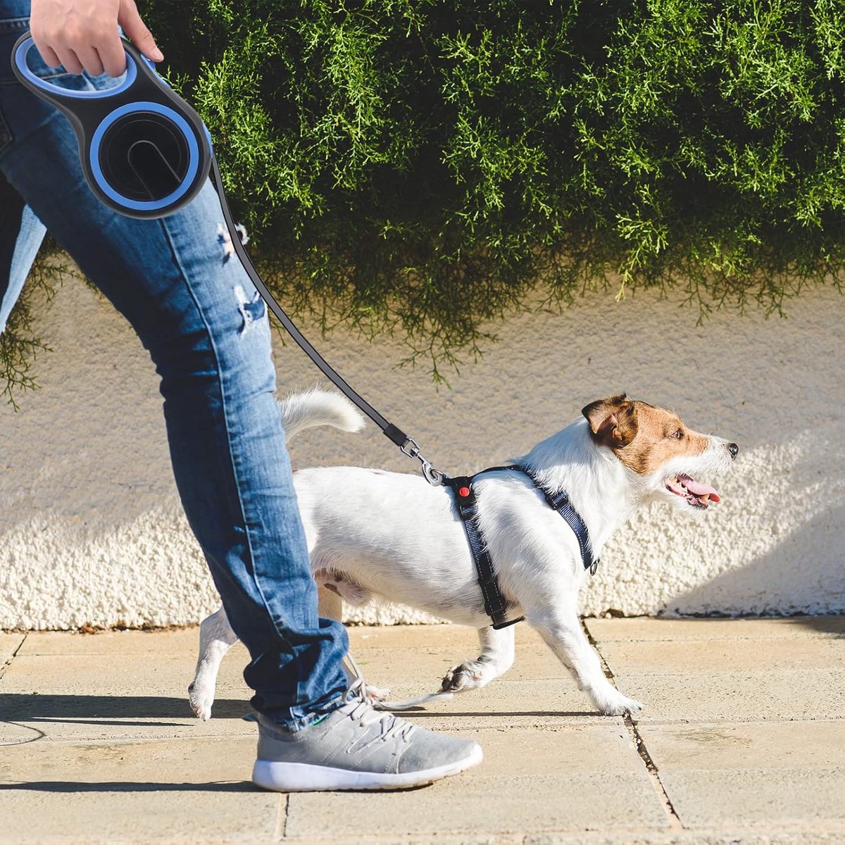 Sander 8M lange intrekbare hondenriem, high-end huisdierlijn Automatische uitschuifbare hondenlijn tot 110lbs/50KG, blauw thumbnail 4