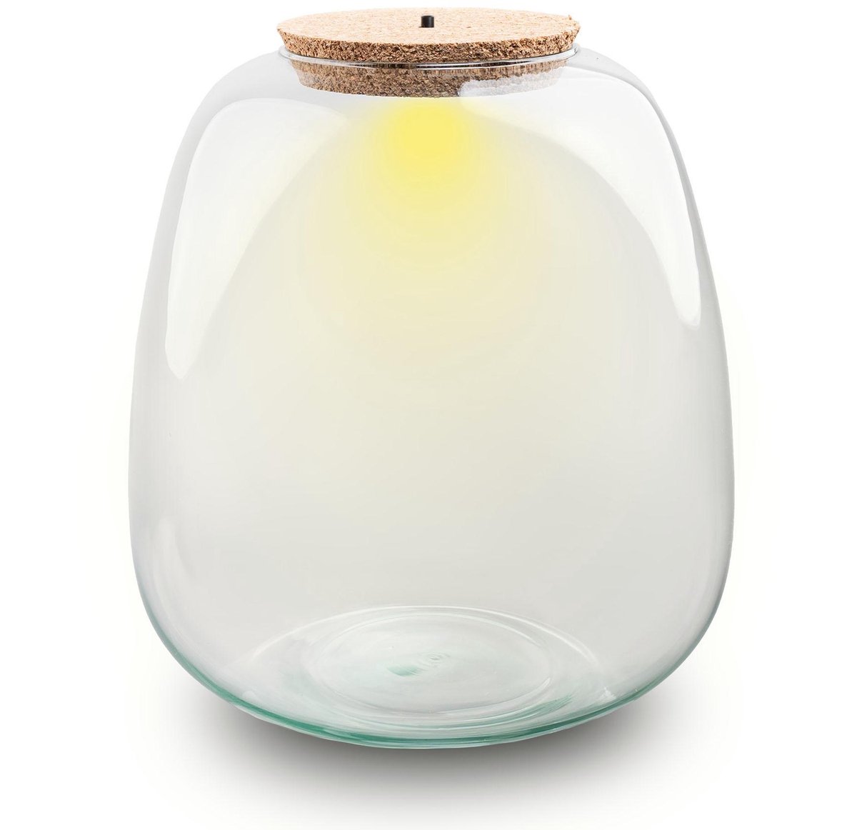 Terrarium fles ‘Emma' - Incl. LED-kurk - Gesloten terrarium Ø 23 cm ↑ 25 cm