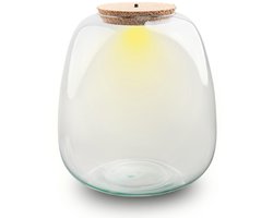 Terrarium fles ‘Emma' - Incl. LED-kurk - Gesloten terrarium Ø 23 cm ↑ 25 cm