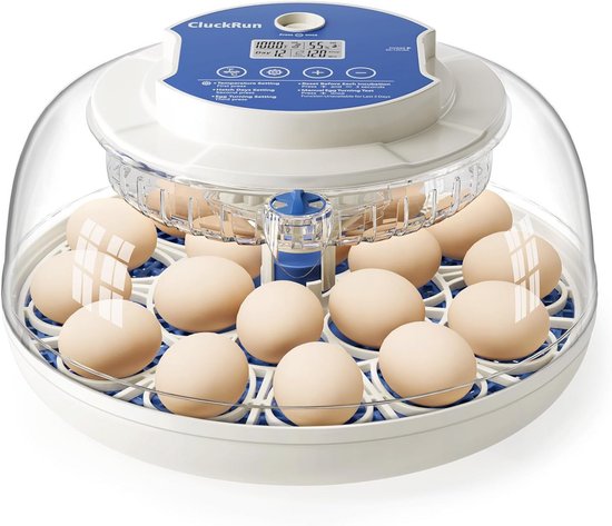 Okkobi M10 Egg Incubator, Ideal for All Ages, Automatic Turning and Moisture Control, Candle Egg, 10 Eggs