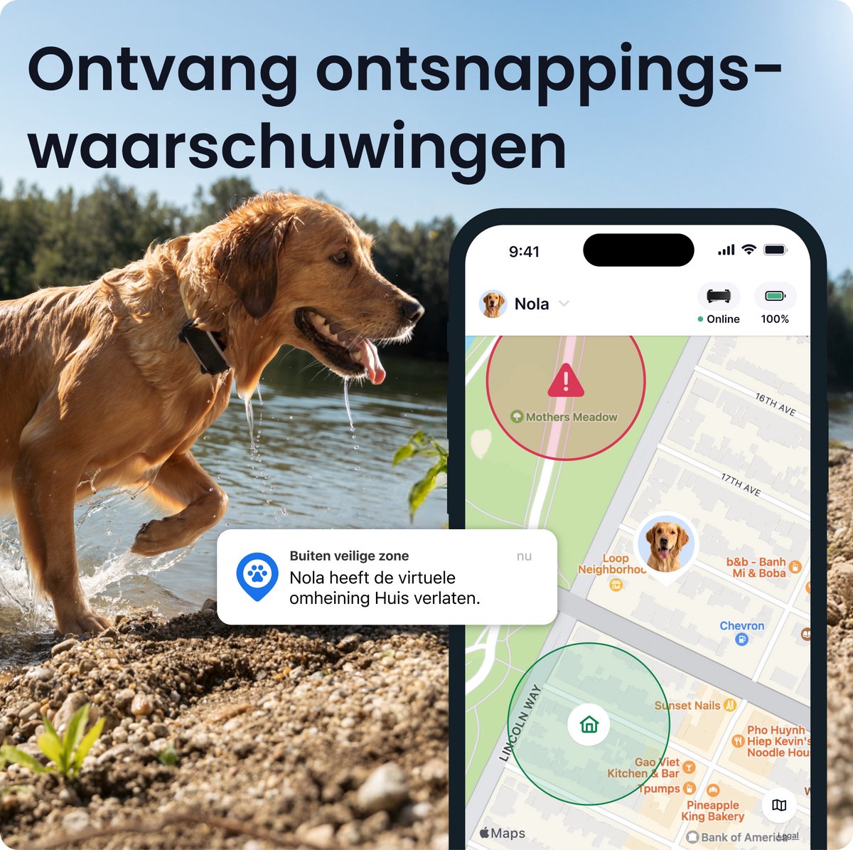 Tractive DOG 6 XL – Slimme gps-tracker voor honden met monitoring van vitale waarden en gezondheidswaarschuwingen, 6 weken batterijduur – Zwart thumbnail 5