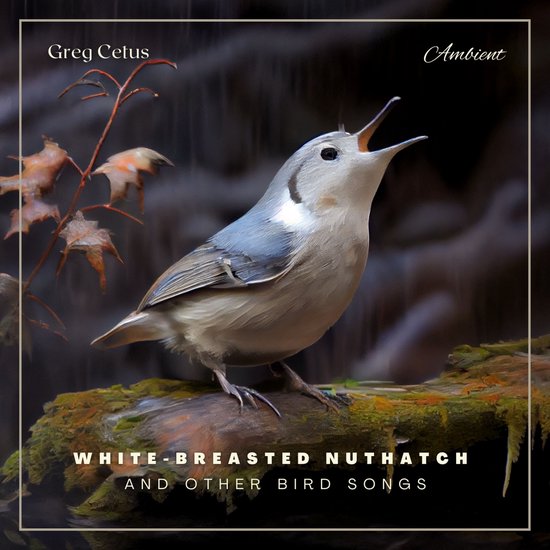 White-breasted Nuthatch and Other Bird Songs - cover