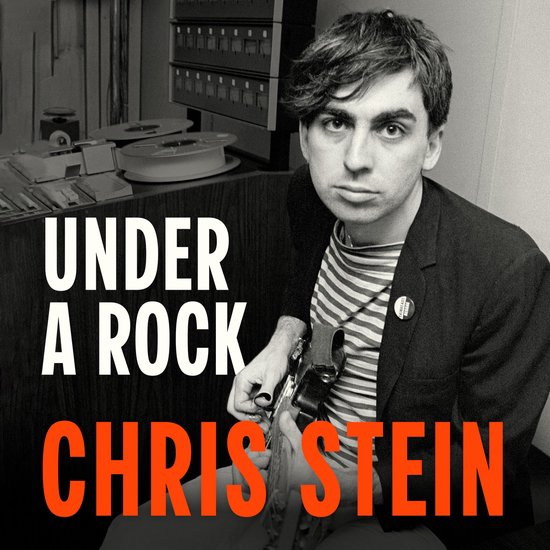 Under A Rock - cover