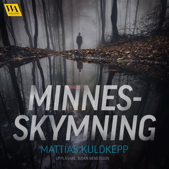 Minnesskymning - cover