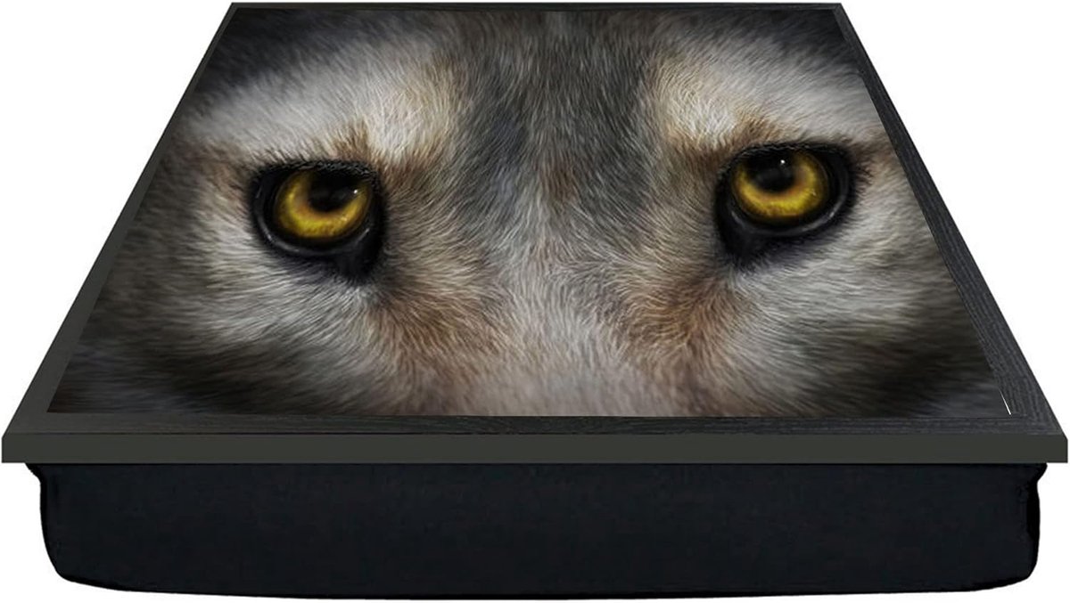 Dienblad met Kussen - Laptop Tafel - Ontbijt in Bed - Gewatteerde Bodem - 45x33cm - Meerkleurig