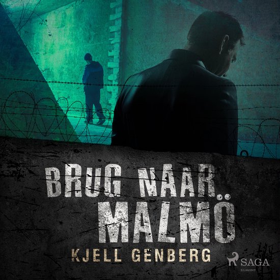 Brug naar Malmö - cover