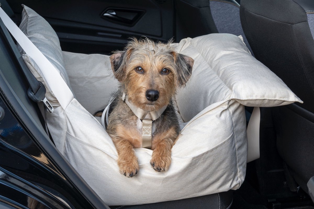 Hondenstoel auto beige - Hondenmand auto - Autostoel beschermer - Autostoelhoes - Honden autostoel - Autozitje - Autostoel organizer - Autostoel - Honden autostoel - wasbaar - Trimmi