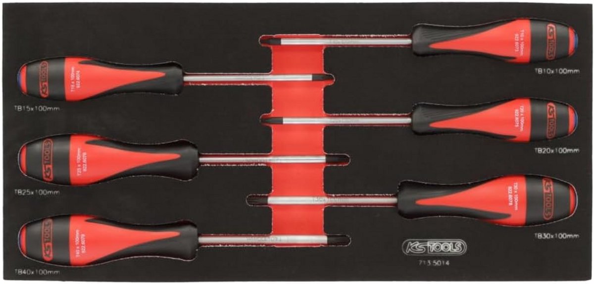 Ultimate Module-6 Torx Schroevendraaier voor Professionals