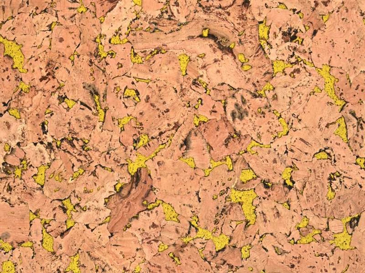 Wandkurk | Vloertegel | Chaves | Geel | tegels 30x60 cm ca. 3,5 mm dik | 11 stuks in 1 verpakking | 1.98 m² | 8 kleuren |