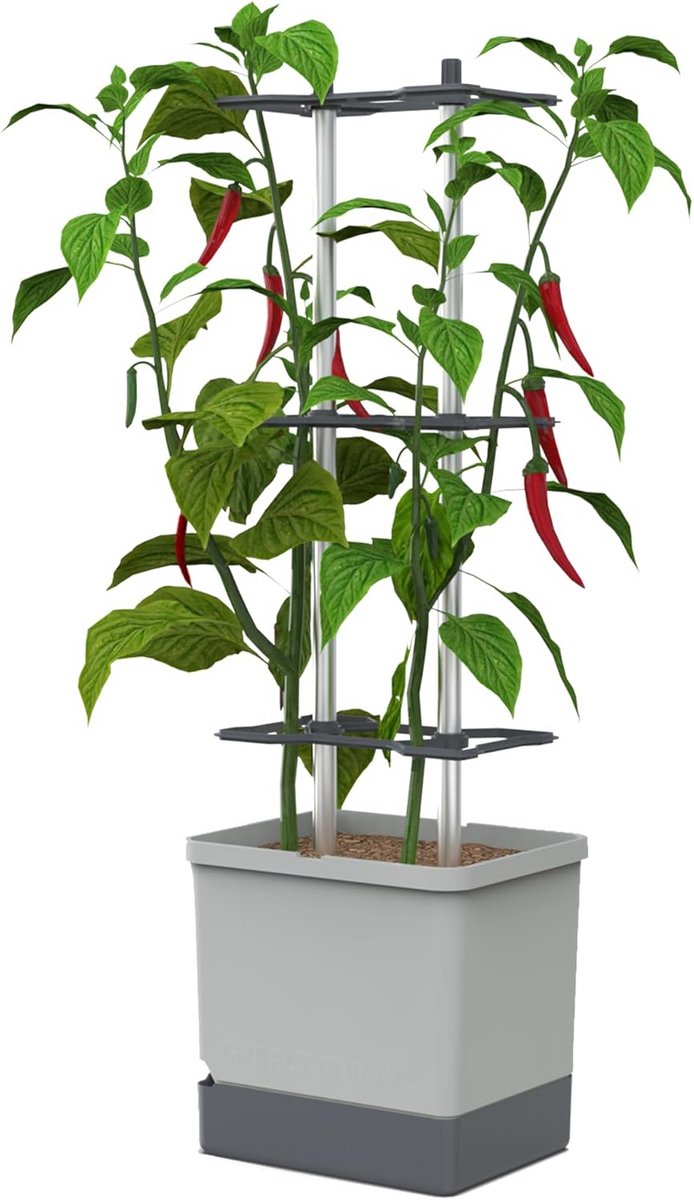 XL Chili Plantenpot met Klimhulp en Zelfirrigatie - Robuuste Buitenpot