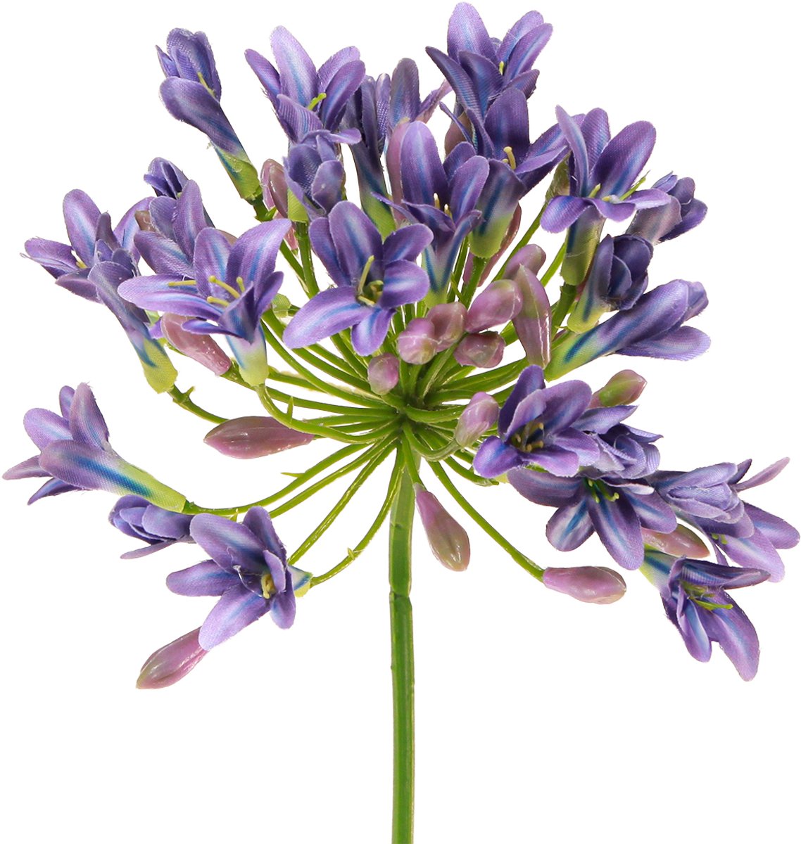 Viana Agapanthus Afrikaanse Lelie Kunstbloemen Paars L75cm 2st