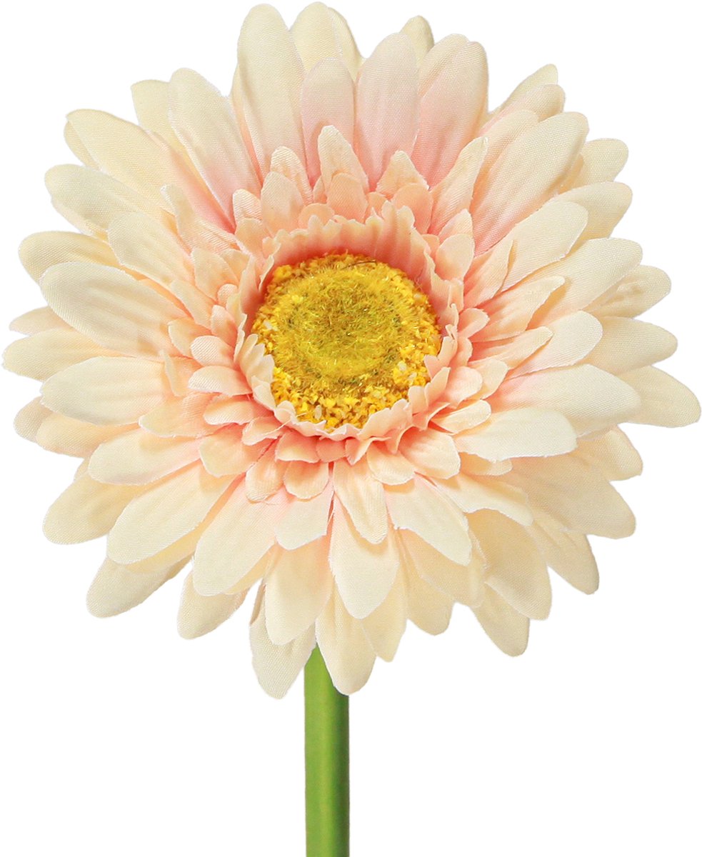 Viana Kunstmatige gerbera's, abrikooskleur, 47 cm, 6 stuks, 6 Stück Orange