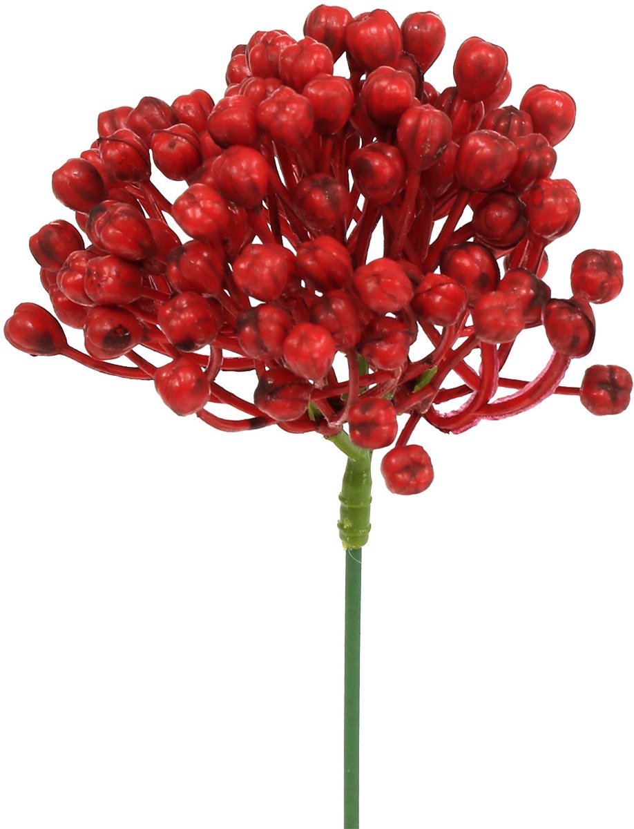 Viana Hortensia knopsteker 22cm rood 12st