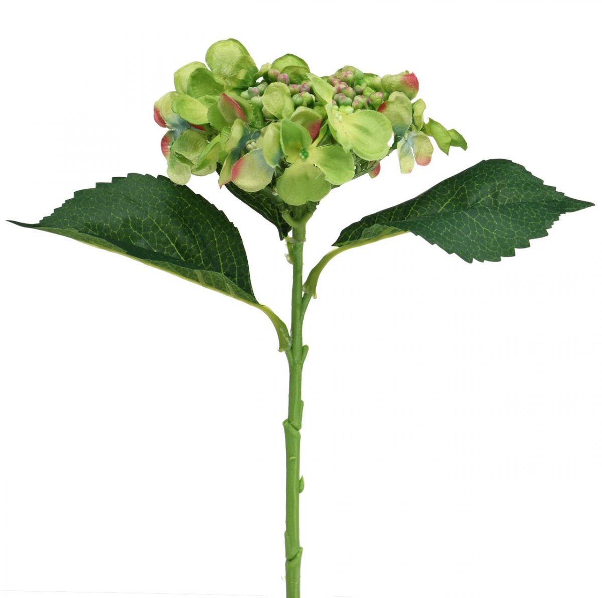 Viana Hortensia kunst, bloemdecoratie, zijden bloem groen L44cm groente