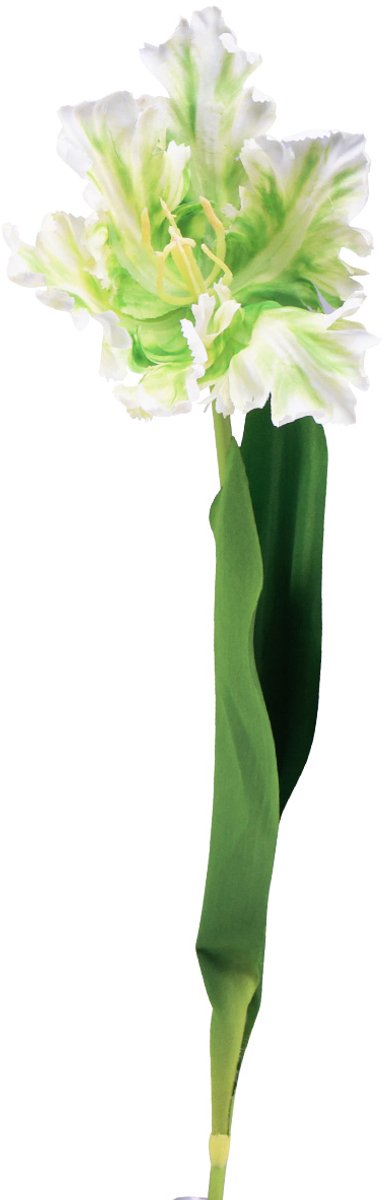 Viana Kunstbloem papegaaitulp kunsttulp groen wit 69cm Veelkleurig