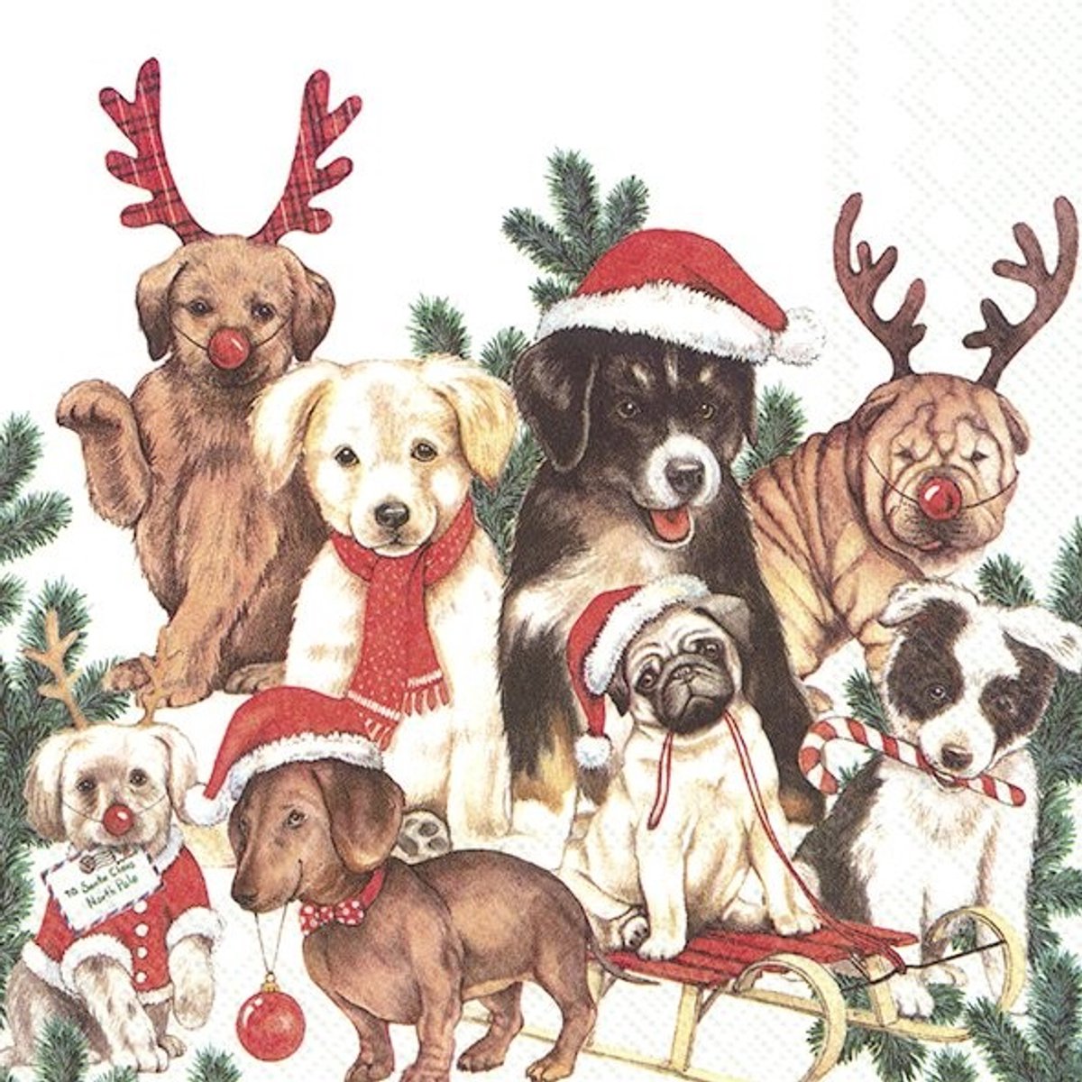 IHR Lunch servetten - Dog - Mas