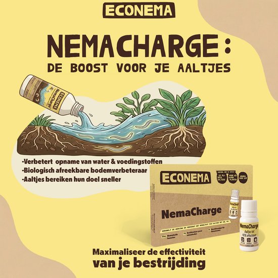 Econema NemaCharge, de boost voor je aaltjes. Giet de vloeistof bij plantenwortels.