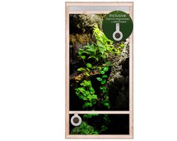 Repiterra® Hoogterrarium 60x120x60 cm van OSB hout met frontventilatie in natuurhout