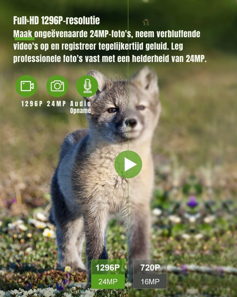 Zyrex® Wildcamera met nachtzicht en WIFI - Gecamoufleerd - Groen- 18 x 18 x 13 cm; 1.09 kg