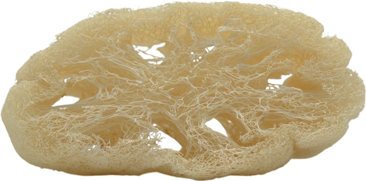 Natuurlijke Pompoen Vezel Spons – 100% Plantaardige Bad- en Douchespons voor Milde Exfoliatie en Diepe Reiniging van de Huid