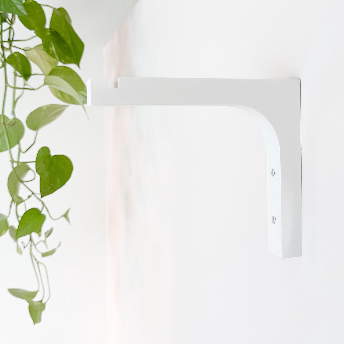 WallWood - Wanddrager hout recht - plantenhanger - set van 4 - wit