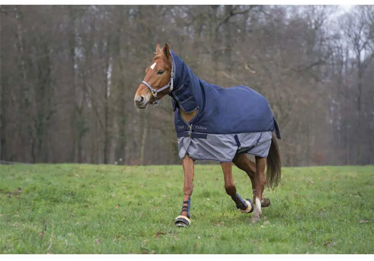 Equitheme Combo Tyrex 600 D Polyfil 350g Uitloopkleed Blauw 145-105 cm