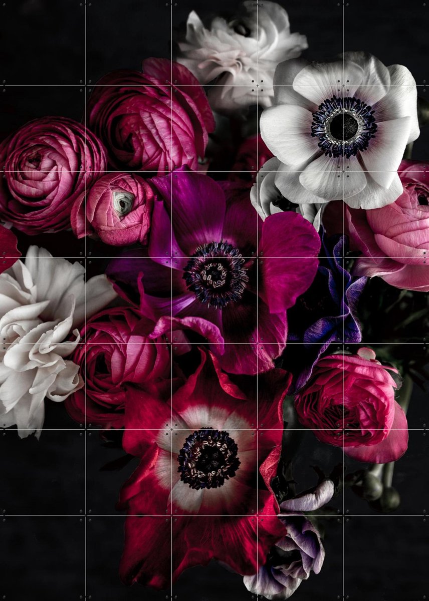 IXXI Dark Flowers, Mareike Böhmer - 100 x 140 cm - Gratis ophangtool - Grote wanddecoratie en posters - Fotografie, Eetkamer, Woonkamer, Slaapkamer