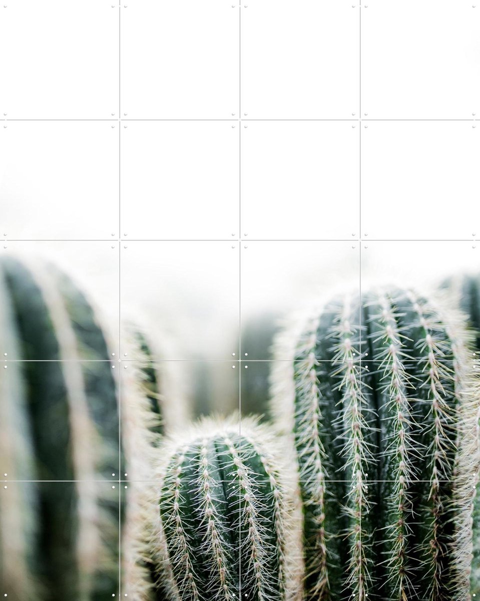 IXXI Cactus, Mareike Böhmer - 80 x 100 cm - Gratis ophangtool - Grote wanddecoratie en posters - Fotografie, Minimalisme, Slaapkamer, Woonkamer