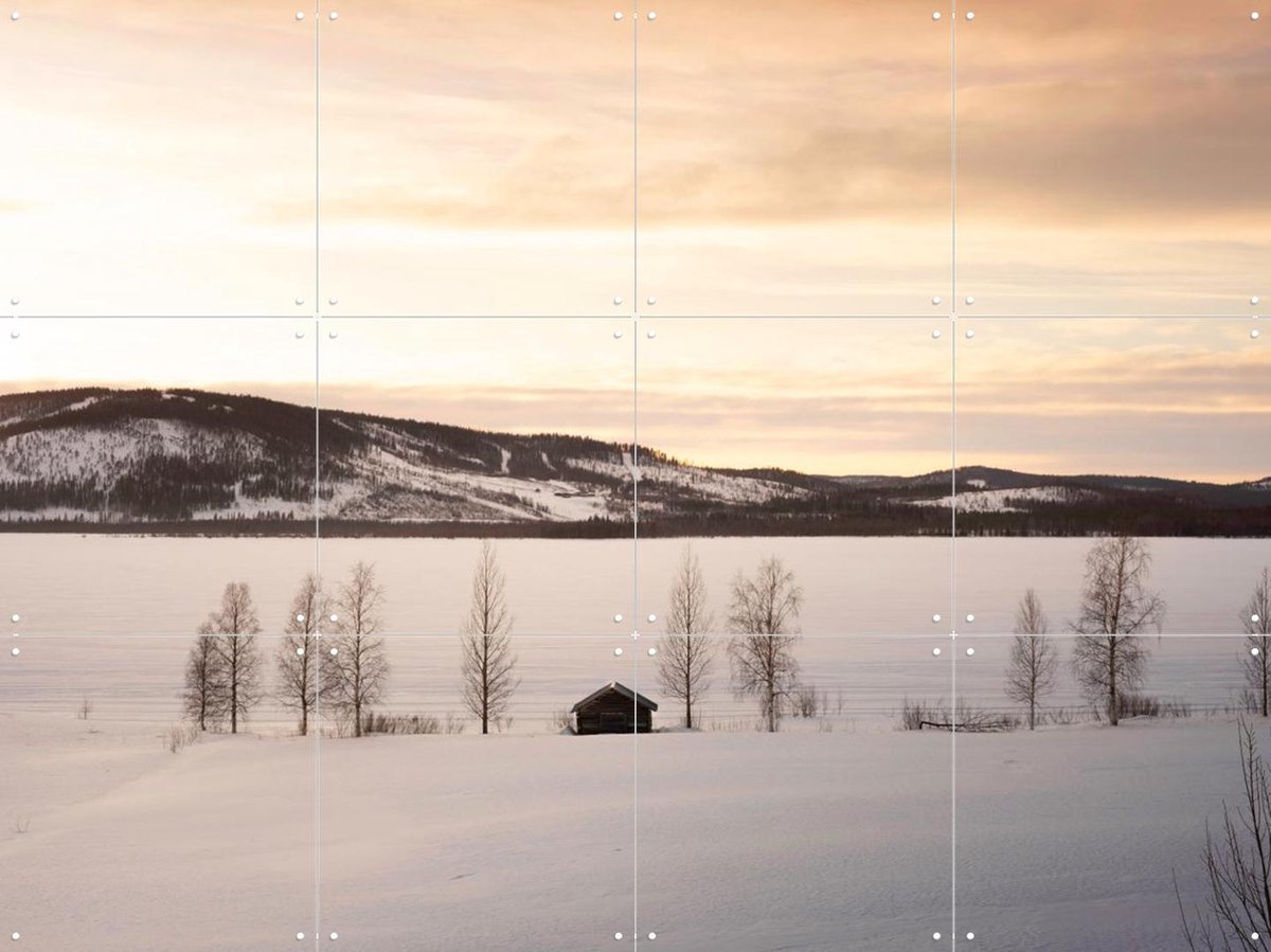 IXXI Frozen World, Claire Droppert - 80 x 60 cm - Gratis ophangtool - Grote wanddecoratie en posters - Realisme, Minimalisme, Naturalisme, Fotografie