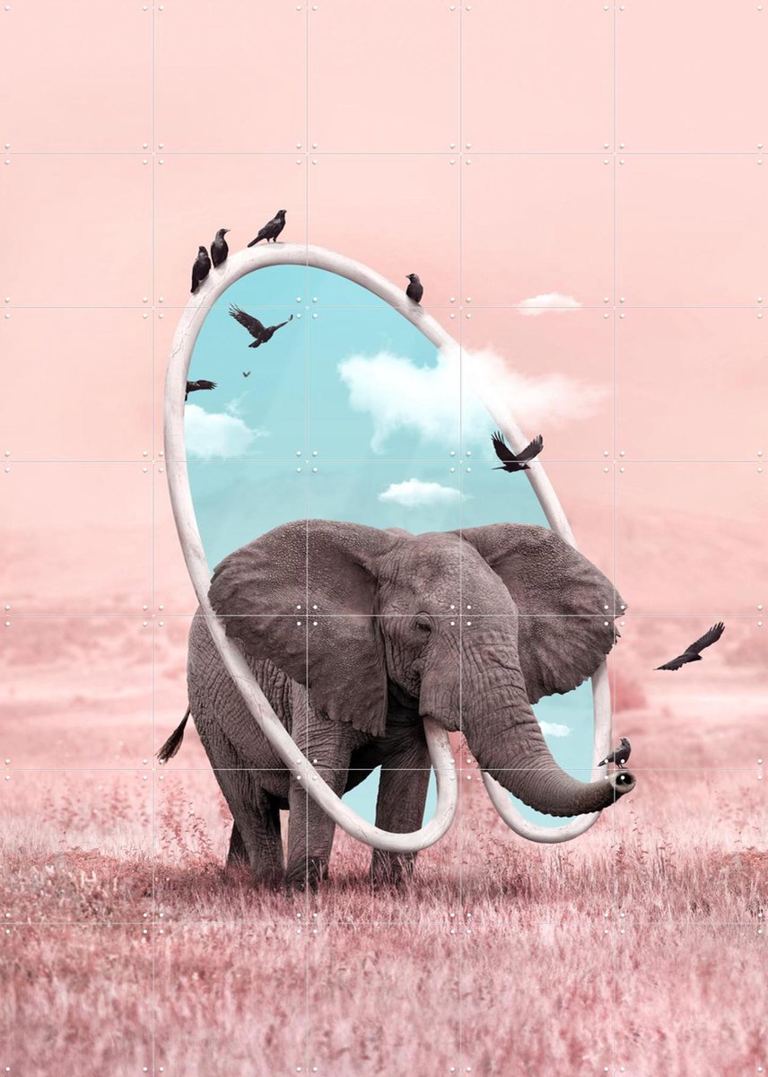 IXXI Dream Carrier, Julien Tabet - 100 x 140 cm - Gratis ophangtool - Grote wanddecoratie en posters - Fotografie, Surrealisme, Digitale Kunst