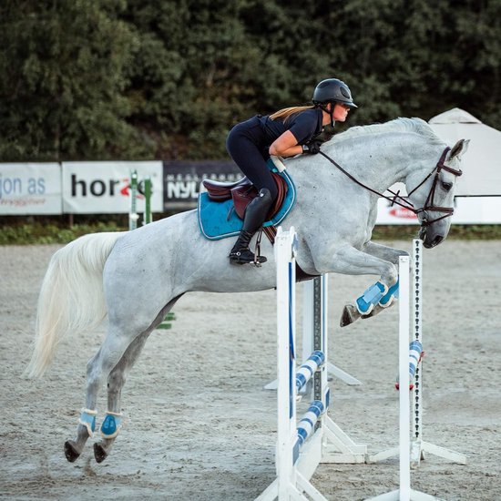 Hoofdstel met Teugels voor Paarden - Hoogwaardig Leer en Comfort Fit
