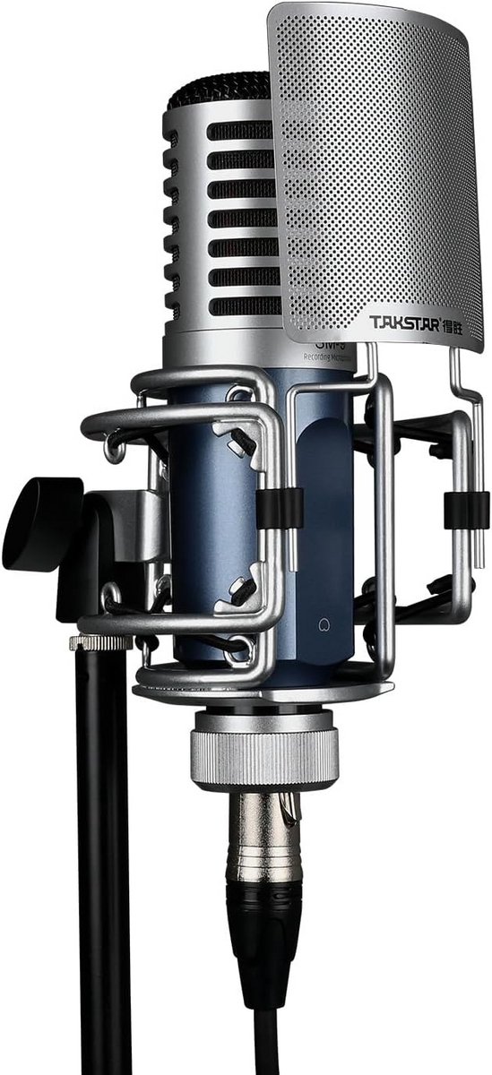 Professionele Condensatormicrofoon met Popfilter en Schokdemper voor Studio Opnames, Podcast en Zang