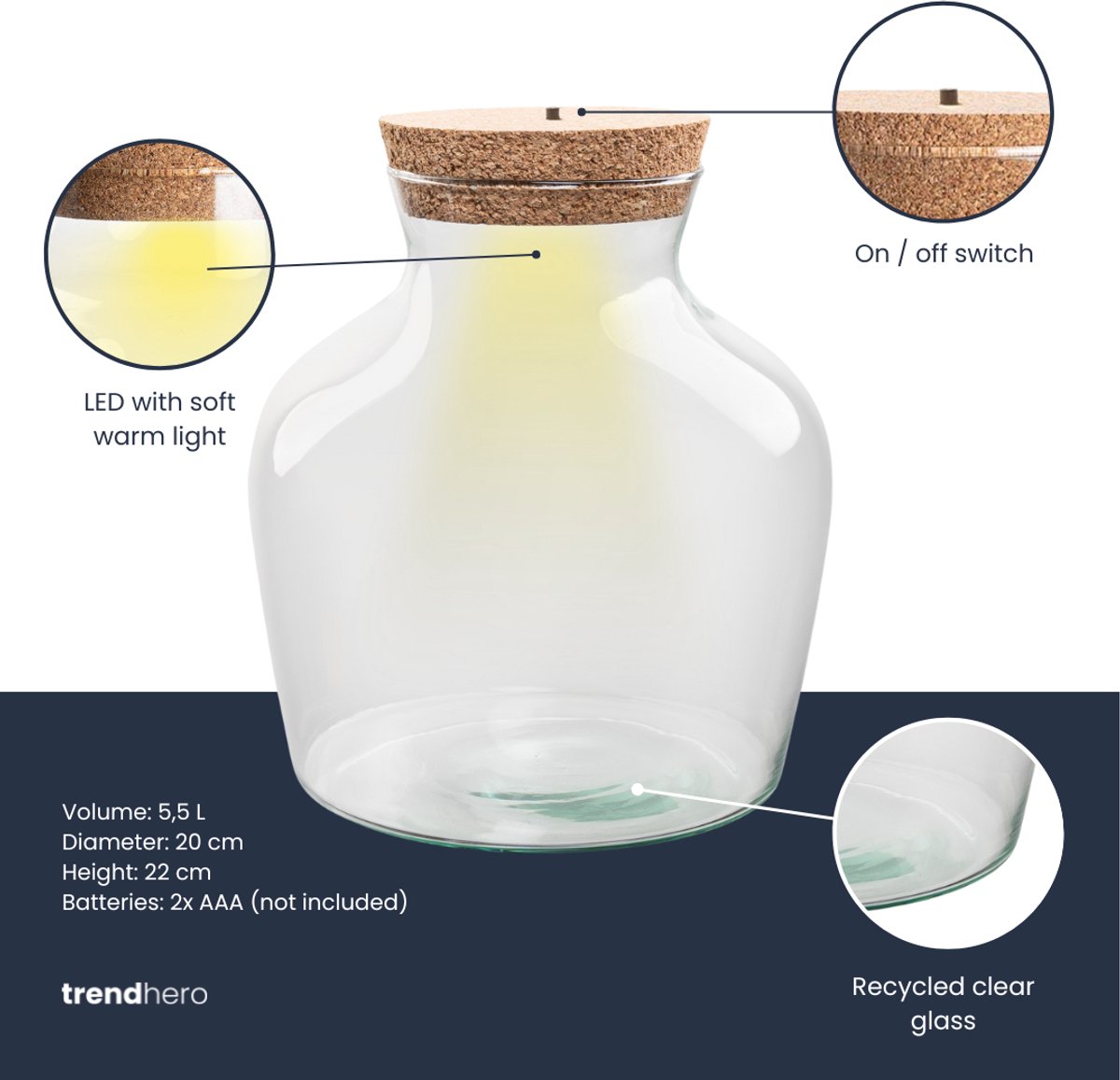 Terrarium bottle with LED-cork - DIY Terrarium Online | Florazo
