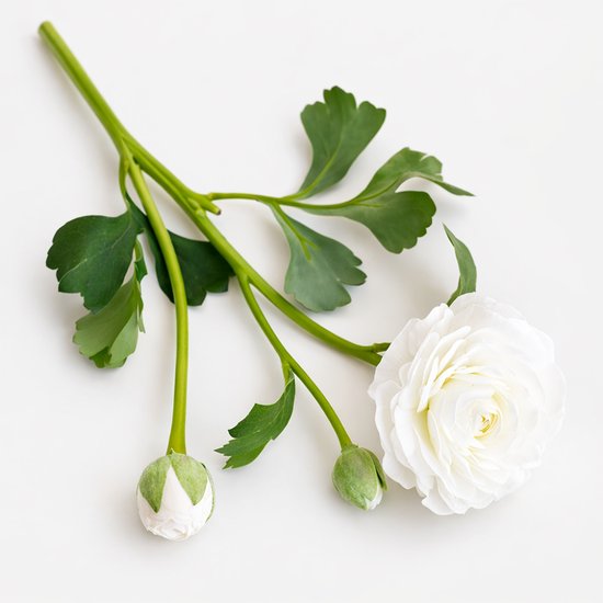 Renoncule - blanc - fleurs en soie - 3 tiges - sans entretien - 53 cm - fleurs artificielles