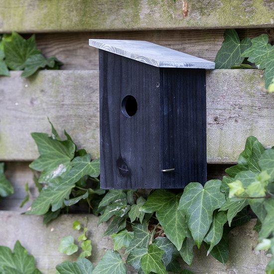 Gifts4Nature Nestkast - 32mm - Nestkastje voor o.a. Koolmees, Boomklevers & Mussen - Houten Vogelhuisje - FSC-gecertificeerd - Zwart / Grijs