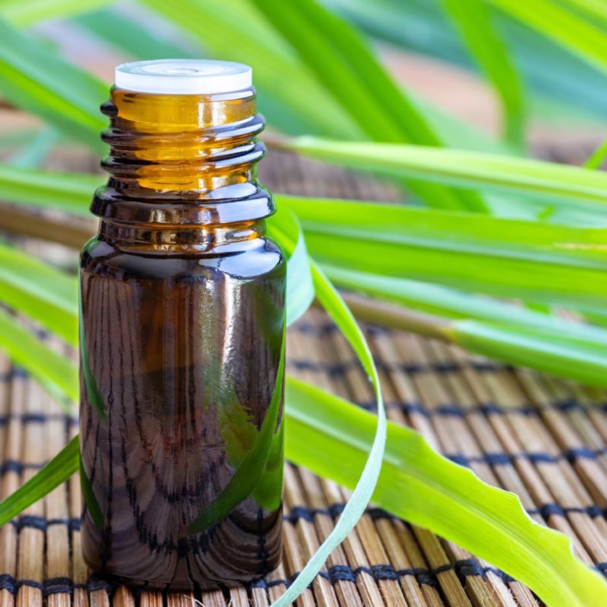 Citronella etherische olie - 250 ml