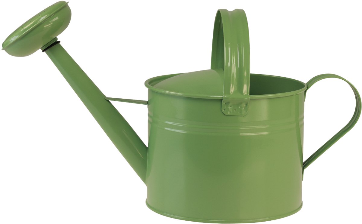 Decoratieve metalen gieter, mintkleur, voor planten & decoratie, lente