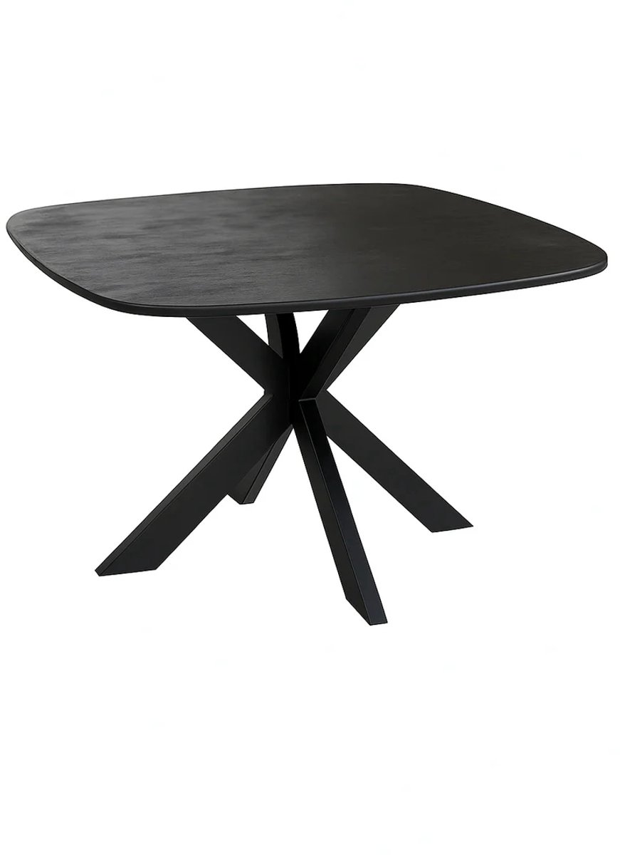 Zita Home - eettafel - 110cm rond - zwart - mangohout - Deens - dutch