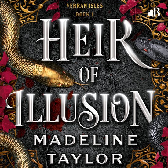 Heir of illusion - cover