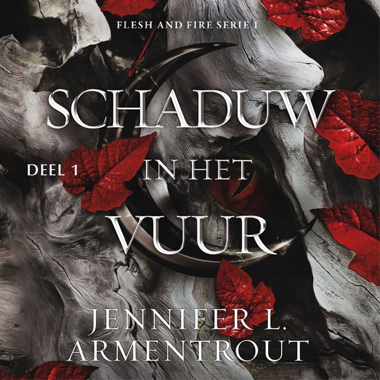 Schaduw in het vuur 1 - cover